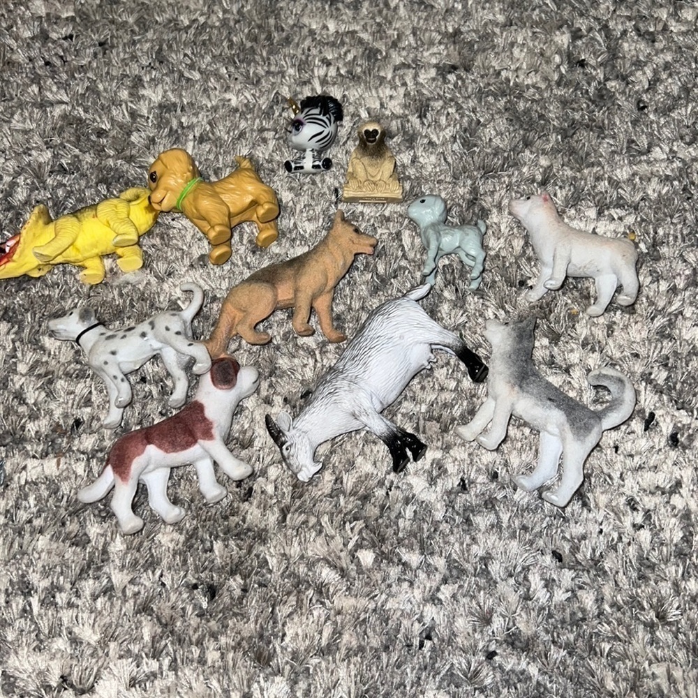 Lot of animals